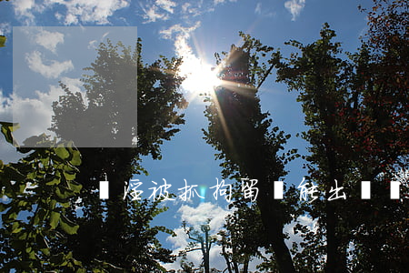 賣淫被抓拘留還能出國嗎