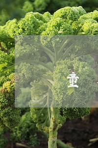 賣童裝欠信用卡怎么辦（賣童裝欠信用卡怎么辦）