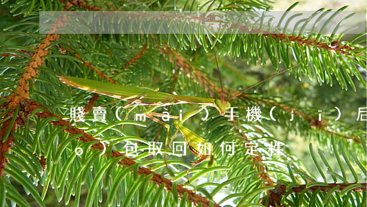 賤賣(mài)手機(jī)后調(diào)包“取回”如何定性