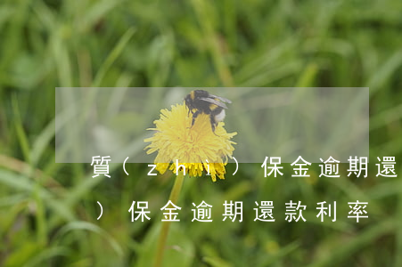 質(zhì)保金逾期還款利率(質(zhì)保金逾期還款利率)