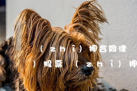 質(zhì)押合同律師怎么收費(fèi)(股票質(zhì)押手續(xù)費(fèi)收多少)