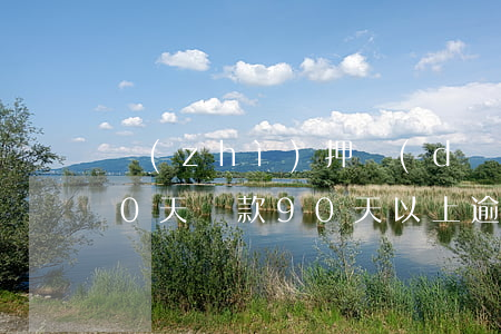 質(zhì)押擔(dān)保貸款逾期90天(貸款90天以上逾期)