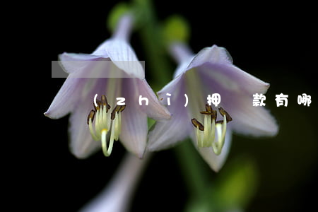 質(zhì)押貸款有哪些