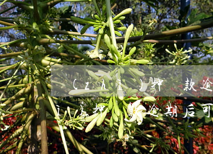 質(zhì)押貸款逾期還款期限(質(zhì)押貸款逾期后可以辦理延期嗎)