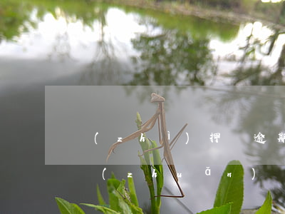 質(zhì)押車逾期被債權(quán)轉(zhuǎn)讓(質(zhì)押到期債權(quán)轉(zhuǎn)讓車)