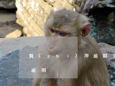 質(zhì)押逾期了(質(zhì)押貸款逾期)