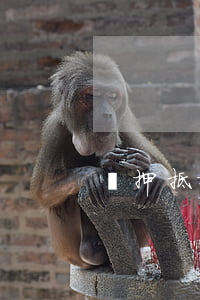質押抵押扣押的區(qū)別有哪些
