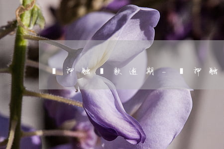 質押融資款逾期-質押融資款逾期會怎么樣