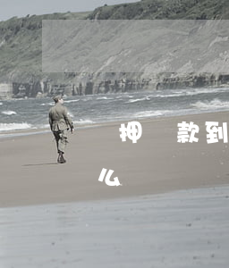 質押貸款到期還不起(質押貸款到期還不起怎么辦)