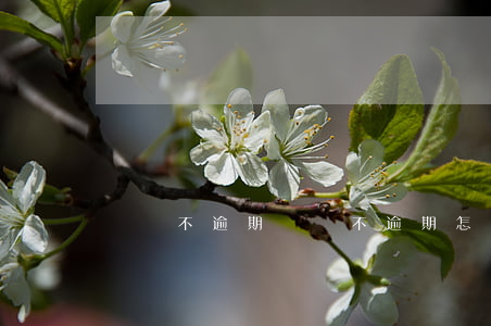 賬單不逾期(賬單不逾期怎么辦)