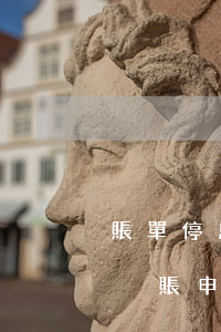 賬單停息掛賬怎么申請(qǐng)-停息掛賬申請(qǐng)流程