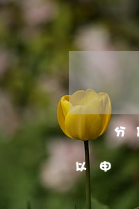 賬單分期可以停息掛賬嗎(分期樂(lè)可以申請(qǐng)停息掛賬嗎)