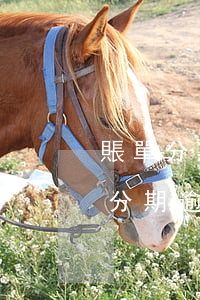 賬單分期通逾期一天會(huì)怎么樣 即分期逾期兩三天有事嗎