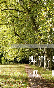 賬單只有微信記錄可以起訴對(duì)方嗎-賬單只有微信記錄可以起訴對(duì)方嗎安全嗎