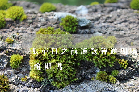 賬單日之前還款算逾期嗎(賬單日之前還款算逾期嗎)