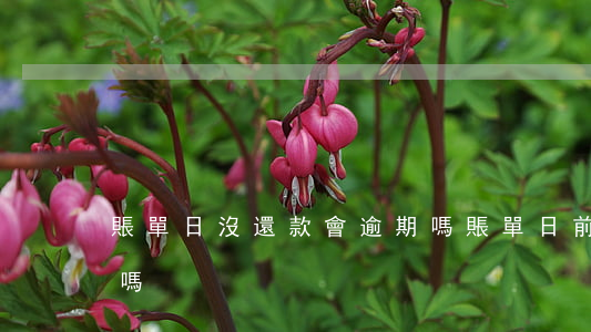 賬單日沒還款會逾期嗎(賬單日前還款算逾期嗎)