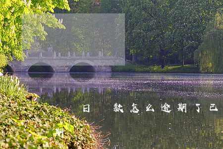 賬單日還款怎么逾期了(已過還款日一天算逾期嗎)