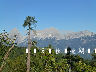 賬單日還款會逾期嗎(賬單日前還款算逾期嗎)
