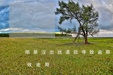 賬單沒出就還款導致逾期(賬單沒出就還款導致逾期)