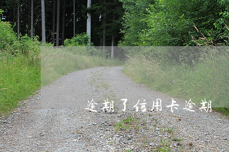賬單逾期了（信用卡逾期賬單是全款）