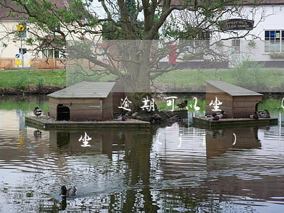 賬單逾期可以坐飛機(jī)么(有逾期可以坐飛機(jī)嗎?)
