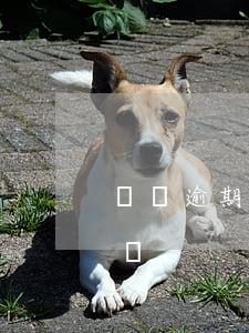 賬單逾期多久可以起訴(欠賬逾期多久可以起訴)