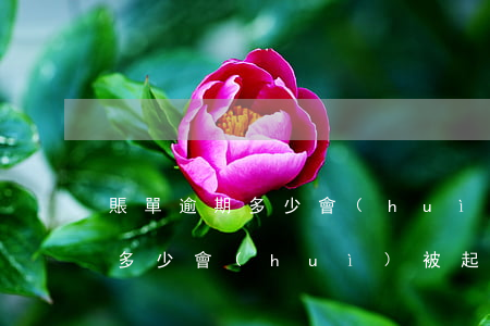 賬單逾期多少會(huì)被起訴(賬單逾期多少會(huì)被起訴)