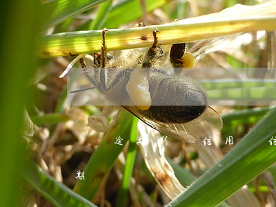賬單逾期影響信用嗎（信用卡過了賬單日會逾期嗎）