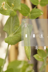 賬單逾期花唄異常怎么辦(花唄上沒(méi)有還款賬單怎么會(huì)有逾期賬單)