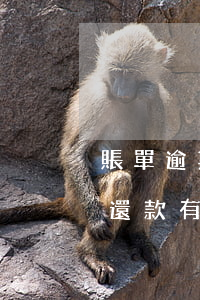賬單逾期還不了怎么辦(賬單逾期未還清,盡快還款有機(jī)會(huì)恢復(fù)使用)