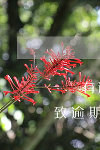 賬戶有逾期記錄信用卡降額(銀行降低額度導致逾期)