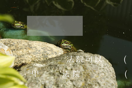 賬戶沒錢法院可以凍結(jié)嗎(銀行卡里沒錢法院還會凍結(jié)嗎)