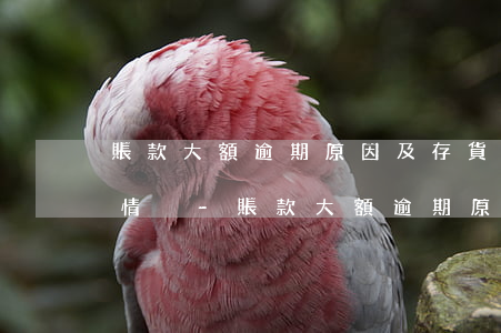 賬款大額逾期原因及存貨相關(guān)情況-賬款大額逾期原因及存貨相關(guān)情況說明