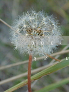 賬齡應(yīng)該從客戶逾期的第幾天算起-賬齡應(yīng)該從客戶逾期的第幾天算起呢
