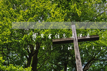 賭博有害信息法律法規(guī)(賭錢對(duì)社會(huì)危害,法律是怎樣規(guī)定的)