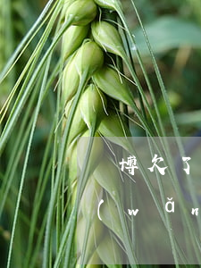 賭博欠了10萬網(wǎng)貸怎么辦(網(wǎng)賭欠了10萬網(wǎng)貸)