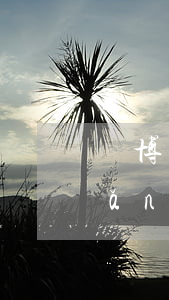 賭博欠了三萬網(wǎng)貸多嗎(網(wǎng)賭輸了幾百萬網(wǎng)貸欠了一堆怎么辦)