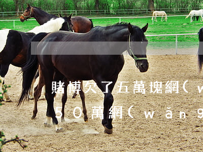 賭博欠了五萬塊網(wǎng)貸(賭博欠了50萬網(wǎng)貸還不起了)