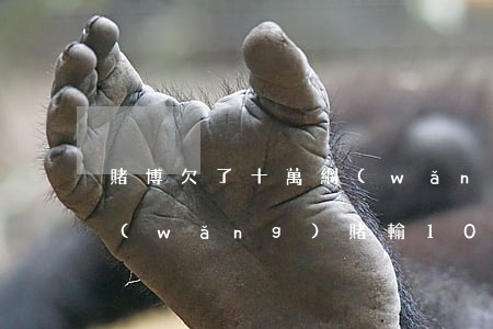賭博欠了十萬網(wǎng)貸廢人一個(網(wǎng)賭輸10萬都是網(wǎng)貸)