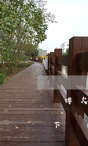賭博欠了很網(wǎng)貸怎么辦(賭博欠下網(wǎng)貸怎么辦)