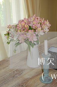 賭博欠了網(wǎng)貸怎么翻身(賭博欠網(wǎng)貸坦白了一次又反了)
