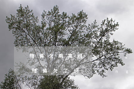 賭博欠兩萬網(wǎng)貸還不了怎么辦(賭博欠了網(wǎng)貸十幾萬怎么辦)