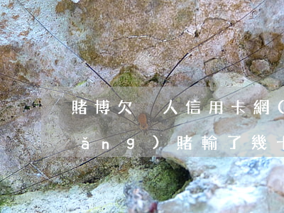 賭博欠別人信用卡網(wǎng)貸(網(wǎng)賭輸了幾十萬全是欠信用卡)