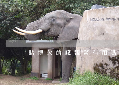 賭博欠的錢報警有用嗎(賭錢報警會怎么樣)