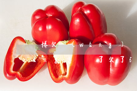 賭博欠網(wǎng)貸3萬怎么還(網(wǎng)賭輸了欠了5萬網(wǎng)貸怎么辦)