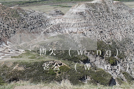 賭博欠網(wǎng)貸公司能和老公坦白嗎(老公網(wǎng)貸賭博欠幾萬)