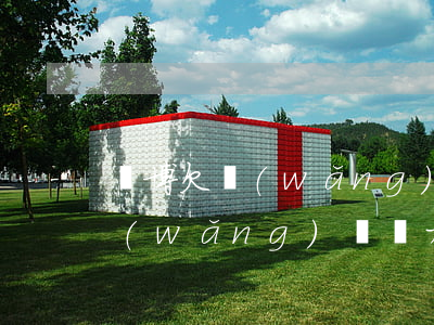 賭博欠網(wǎng)貸無力償還(賭博欠網(wǎng)貸無力償還)