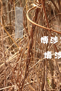 賭博涉案金額達(dá)到多少算刑事案件(賭博涉案金額達(dá)到100萬(wàn)判刑多久)