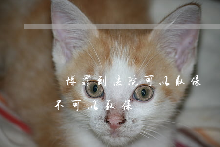 賭博罪到法院可以取保嗎(賭博罪被刑拘多久不可以取保)
