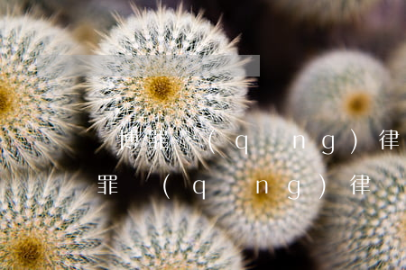 賭博罪請(qǐng)律師可以減刑嗎(賭博罪請(qǐng)律師可以減刑嗎)